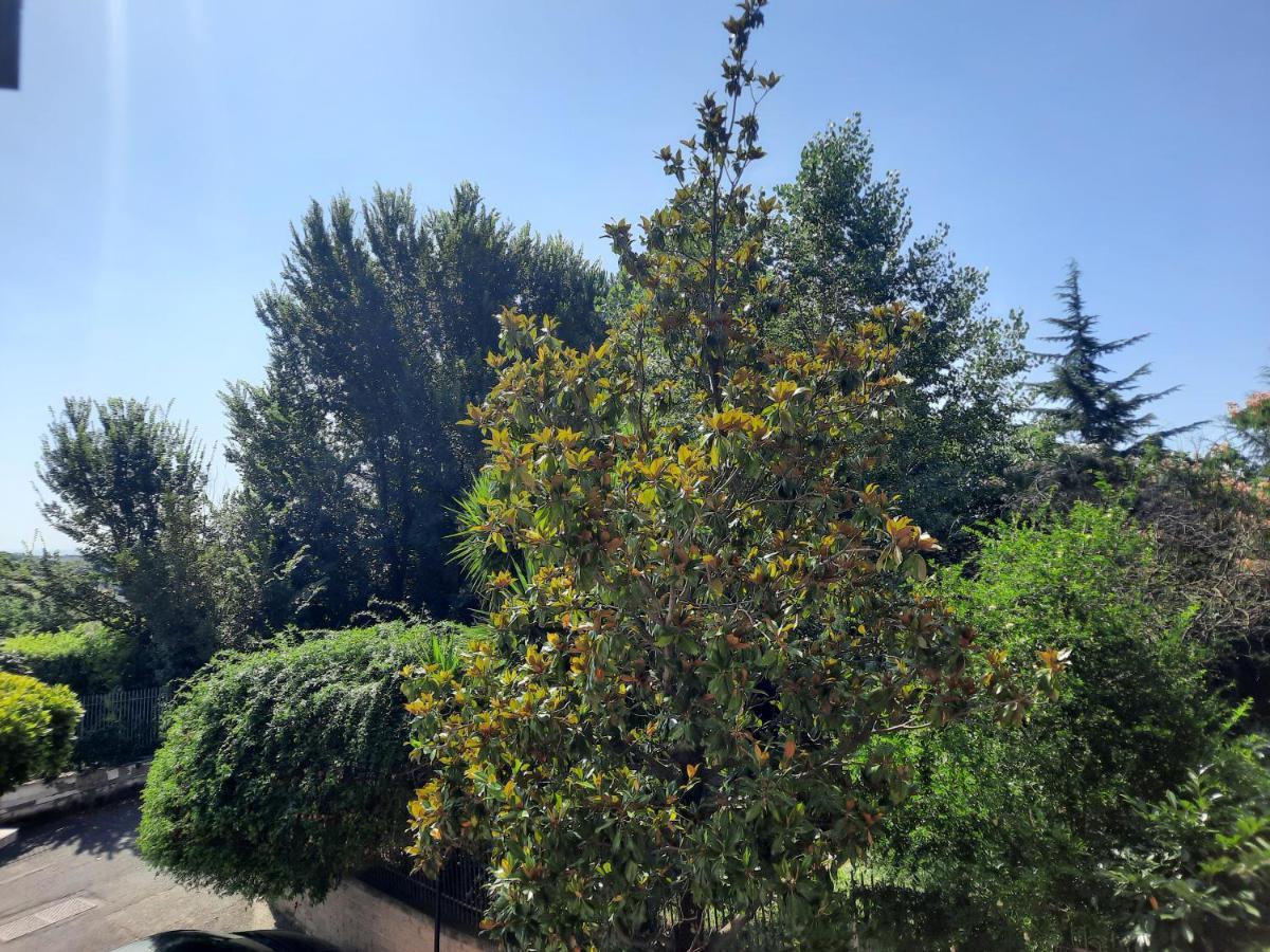 דירות רומא La Casa Di Livia מראה חיצוני תמונה